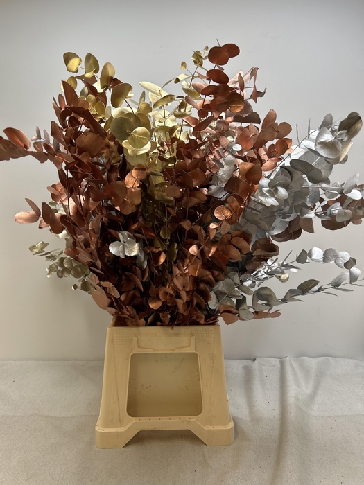 EUC CINEREA PB VERF METALMIX